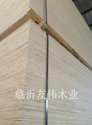 異形托盤板不可貌相，發(fā)展前景不可限量